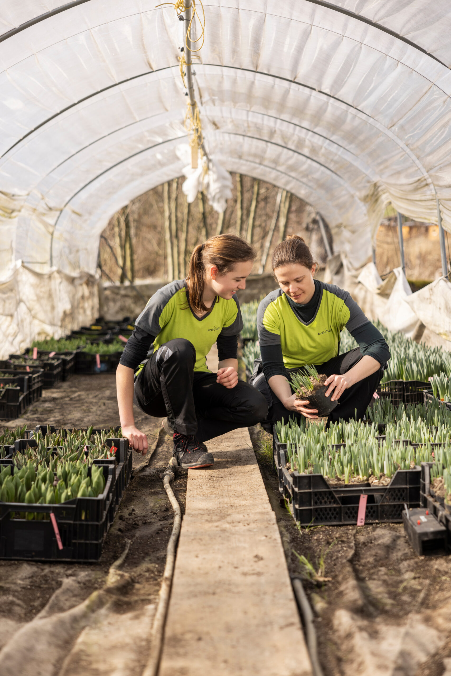 Production des plantes AFP