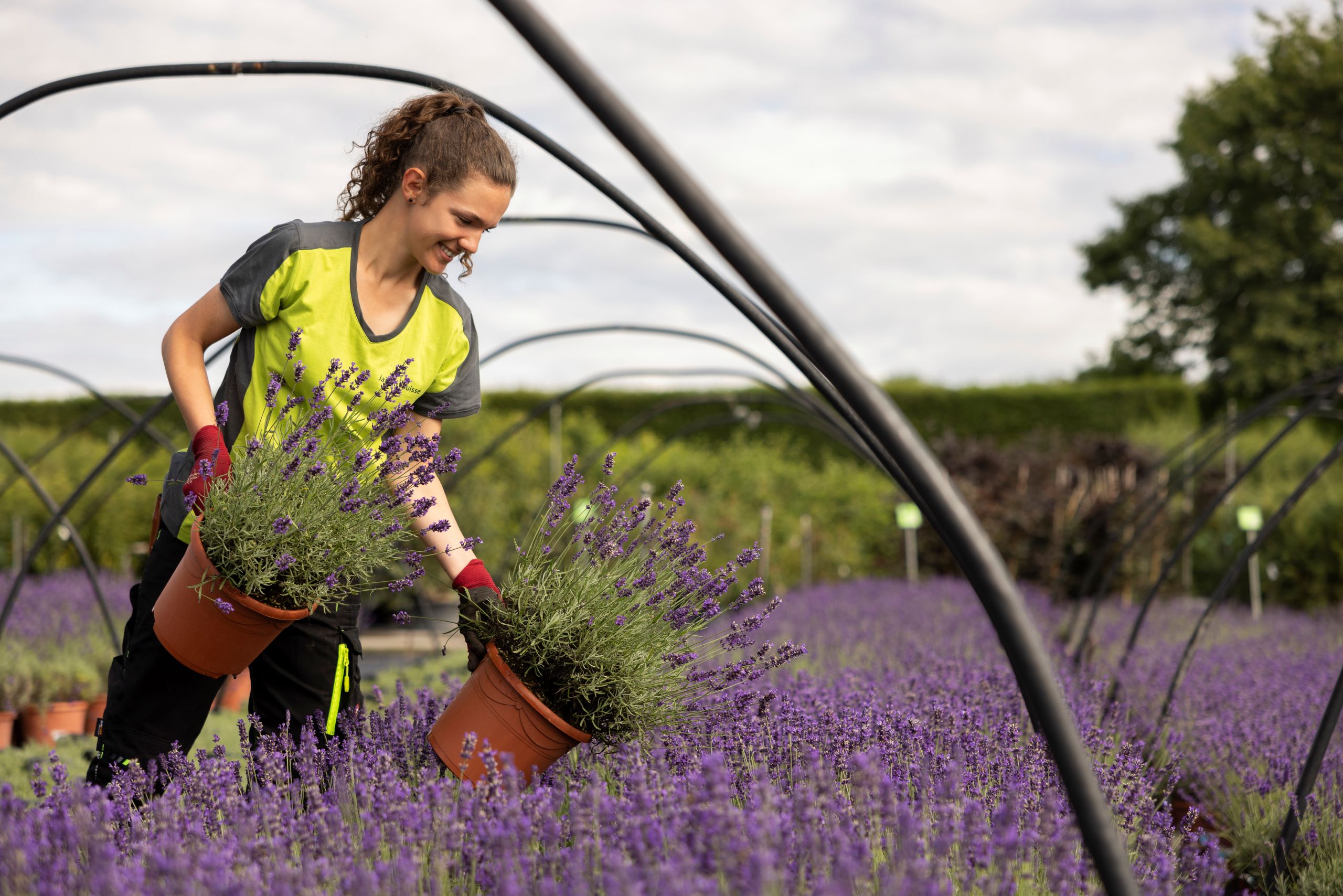Production de plantes